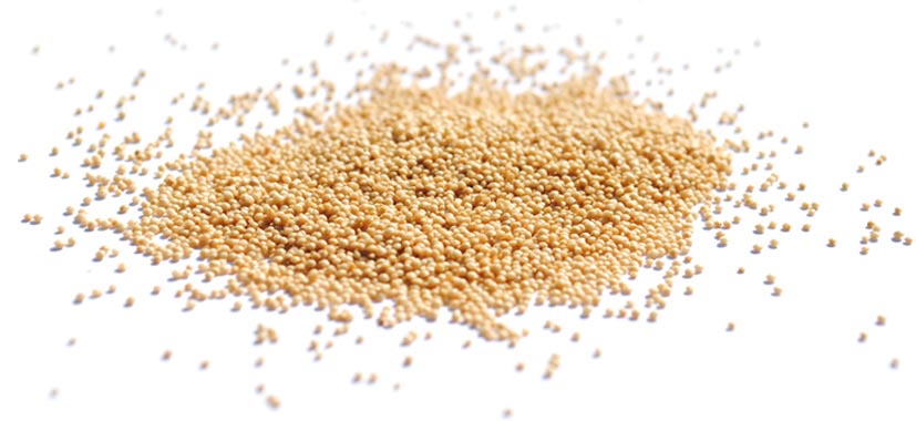 Organic Amaranth