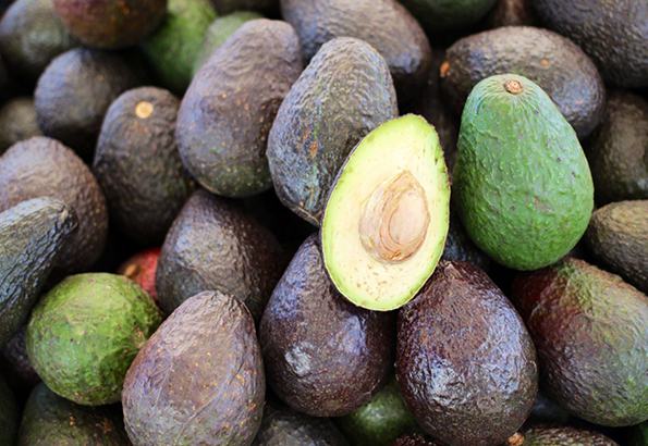 Bio Avocadoöl