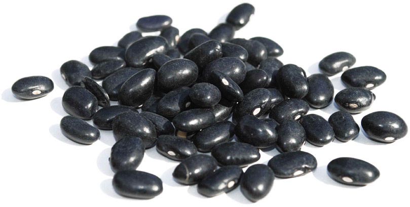 Organic Beans, black