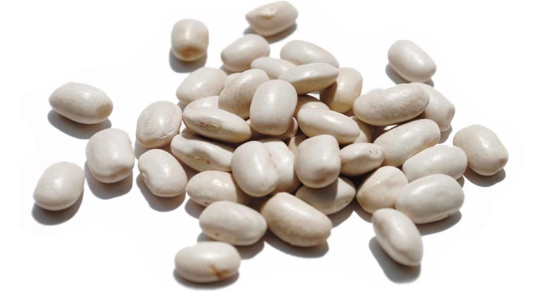 Organic Beans, white