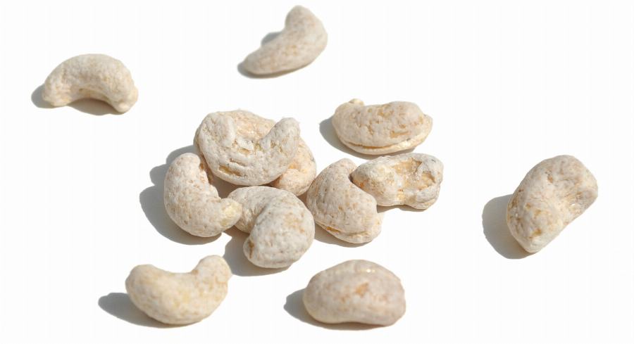 Bio Cashewkerne, gesalzen und gewÃ¼rzt mit Kokosnussmilch 