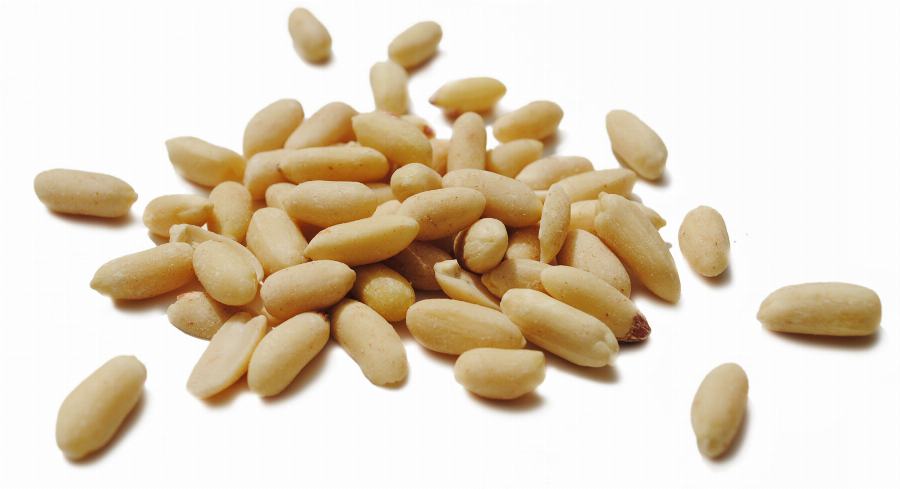 Bio Erdnüsse