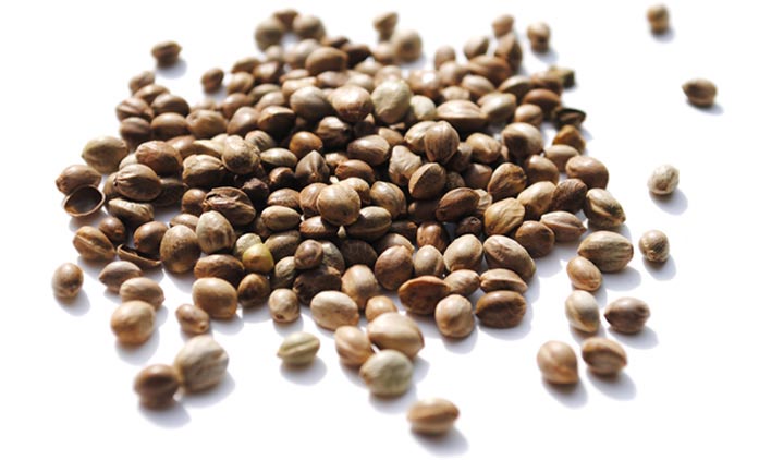 Organic Hemp seeds, unhulled