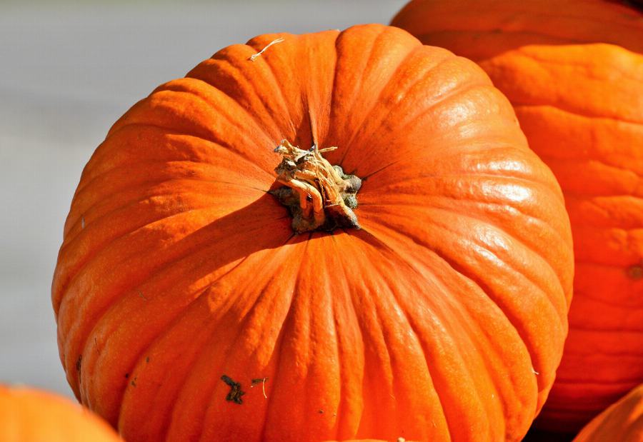 Organic Pumpkin seeds, shine skin