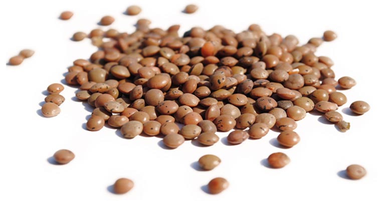 Organic Lentils, brown, Crimson lentils