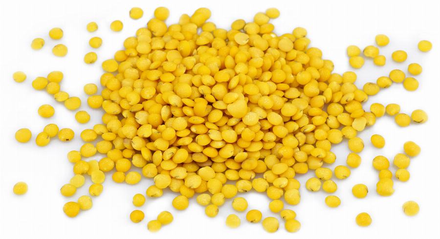 Organic Lentils, yellow, whole