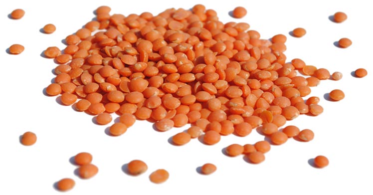 Organic Lentils, red, whole, footballs