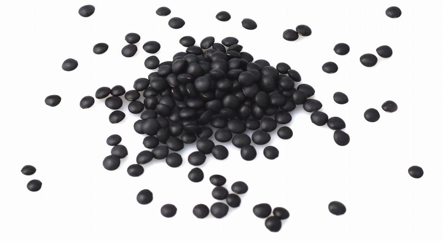 Organic Lentils, black, "Beluga"