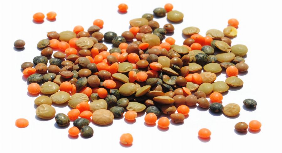 Organic Lentils