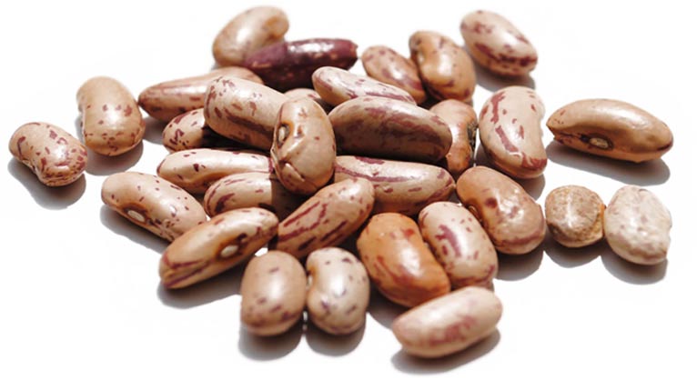 Organic Pinto beans