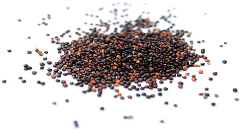 Bio Quinoa, schwarz