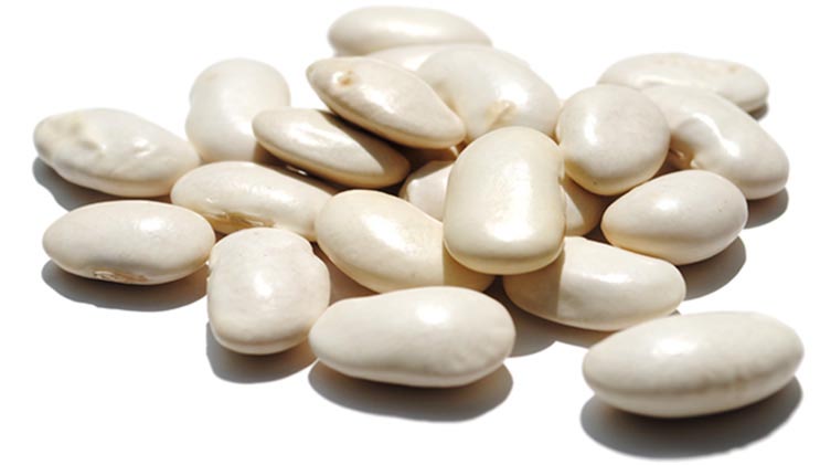 Organic âJumbo beansâ, white